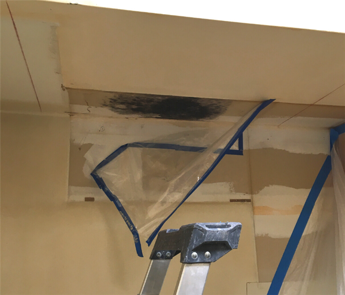 Mold removal in Ringoes, New Jersey.