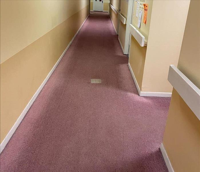 carpeted apartment hallways completely clean, no white dust left behind