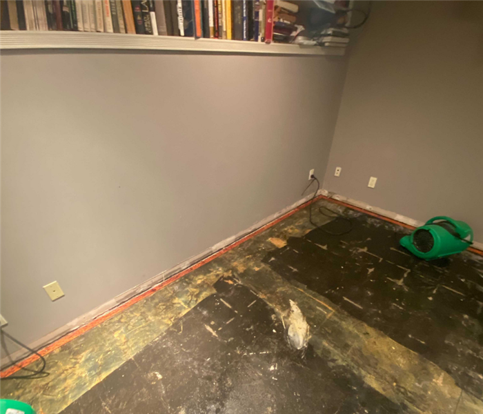 Water damage cleanup near me in Califon, New Jersey.