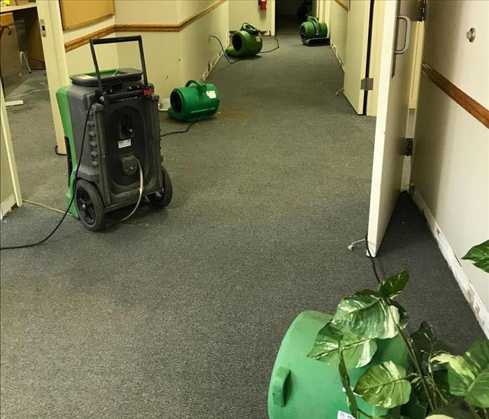 water has been extracted from wet carpet, fans and dehumidifiers have been set up on carpet to dry it
