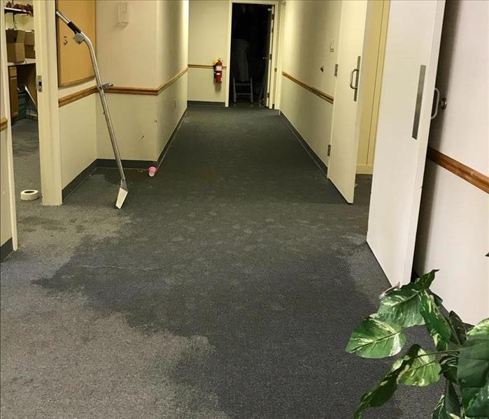 flooded office carpet from a leaking pipe, blue carpet clearly saturated