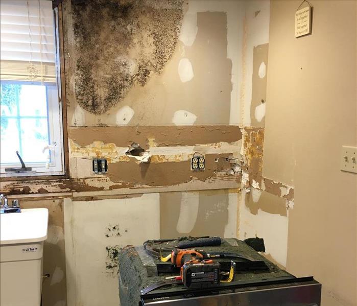 mold behind dishwasher on the wall after cabinets have been taken down because of a leak