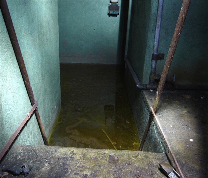 water in basement cleanup near me in whitehouse new jersey