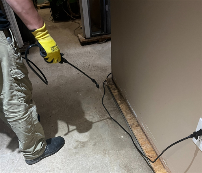 Basement Mold Removal Near Me in East Amwell Township, NJ
